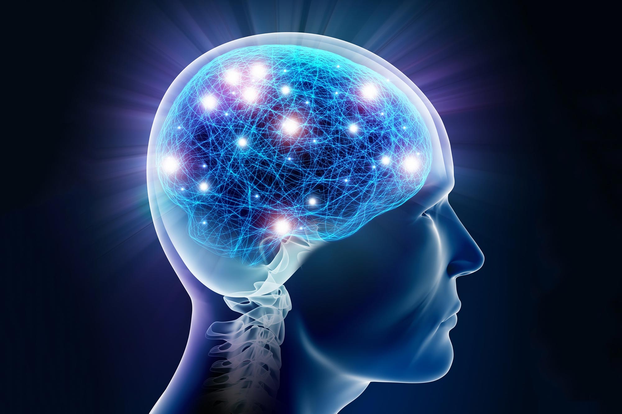 Human Brain Memories Neurons Medically Speaking