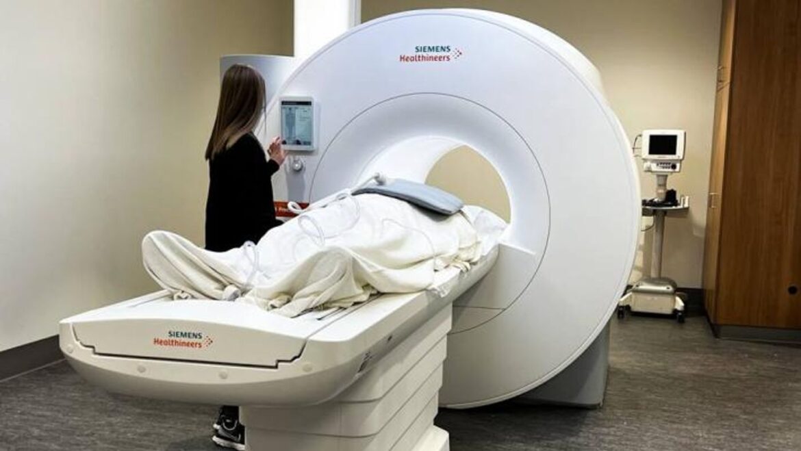 Revolutionary Low-Field MRI: A Safer, Cheaper Alternative for Whole-Body Scans