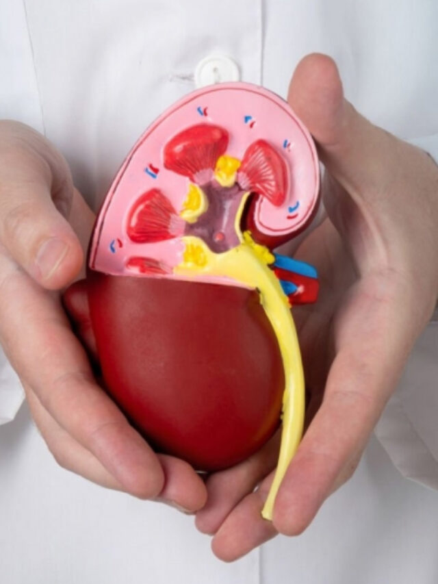 Recognize the Warning Signs of Kidney Problems Early: Your Guide to Prevention and Care