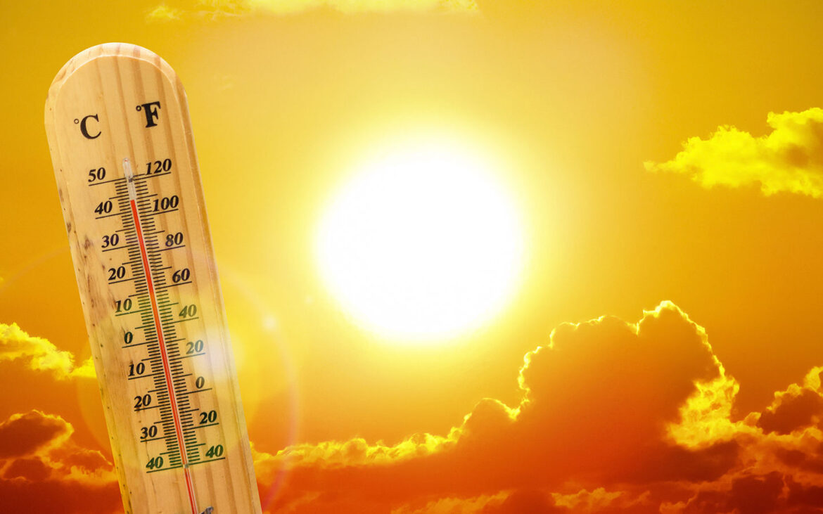 Beat the Heat: Essential Tips to Stay Cool and Safe This Summer