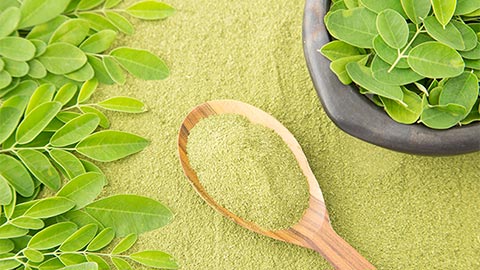 Increasing Hair Growth To Reducing Blood Pressure: Why Moringa Powder Is Gaining Popularity