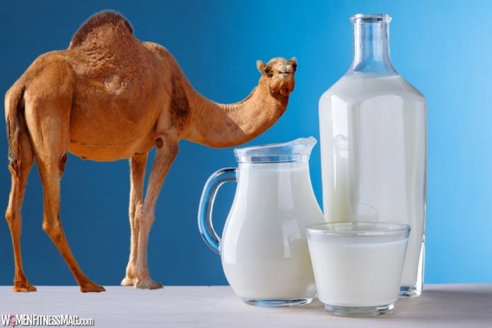 Unveiling the Desert's Secret Weapon: Camel Milk's Health Benefits Will SHOCK You (Watch Video)!