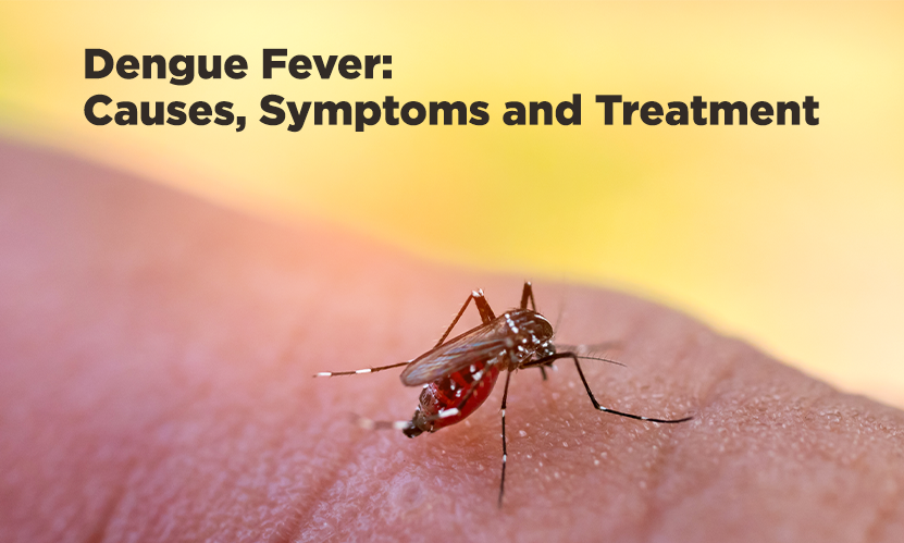 Spotting Dengue Early: Watch Our Video to Learn the Warning Signs and Precautions