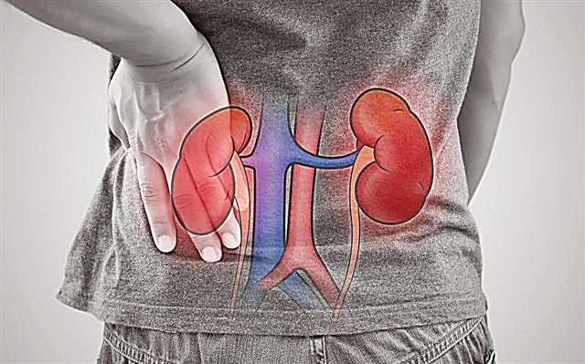 Kidney Disease Warning Signs: Don't Ignore Them - Watch Video