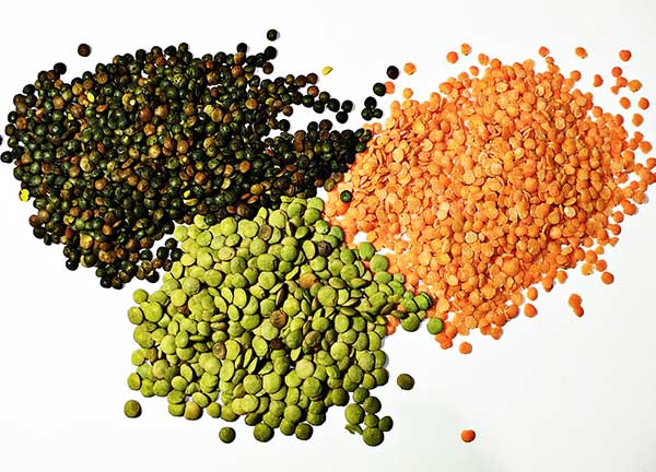 The Mighty Lentil: From Humble Seed to Nutritional Superhero! Unleash Its Power for a Healthier You (Ask a Nutrition Pro!)