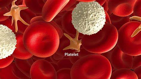 Dengue Draining Your Platelets? Don't Panic! Watch Video & Get Expert Advice to Fight Back!