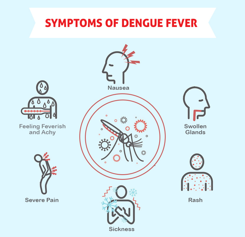 Watch Now: Protect Yourself From Dengue