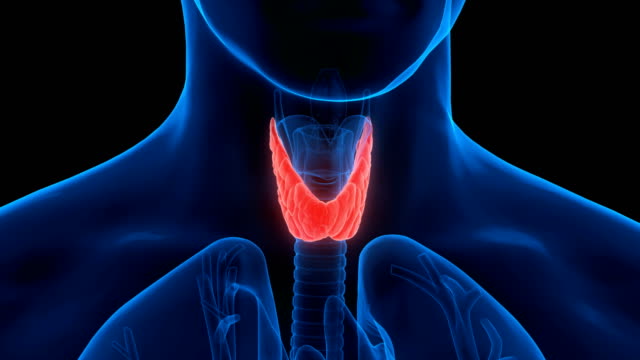 Thyroid Disease: Watch Out for These Symptoms