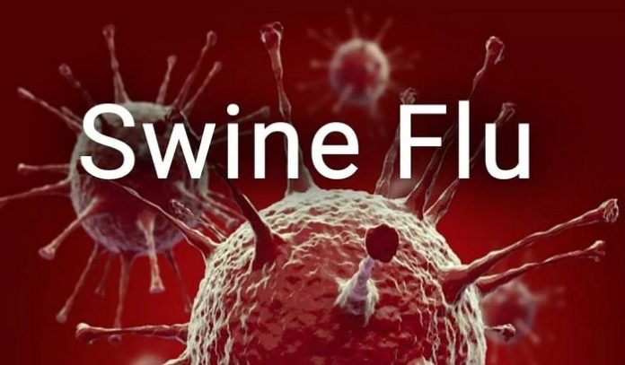 Watch Video: 10 Essential Steps to Protect Yourself from the Rapidly Spreading Swine Flu