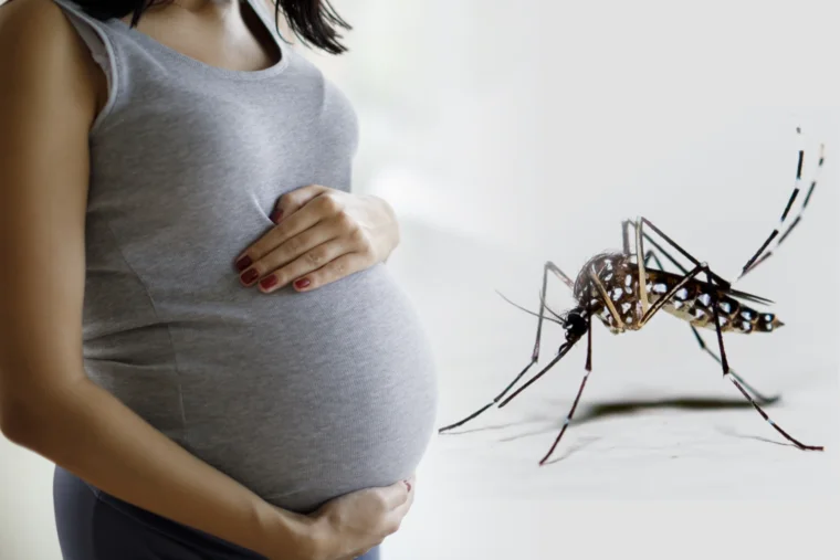 Watch Video: Essential Tips to Prevent Dengue During Pregnancy and Protect Your Baby