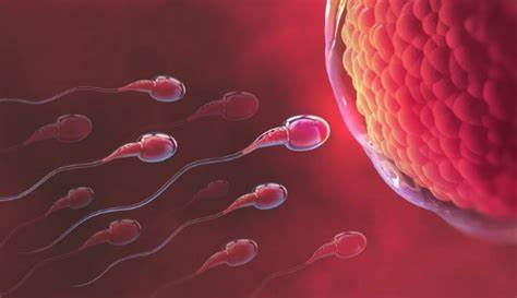 Video: Proven Methods to Increase Sperm Count and Enhance Fertility—Expert Tips Revealed