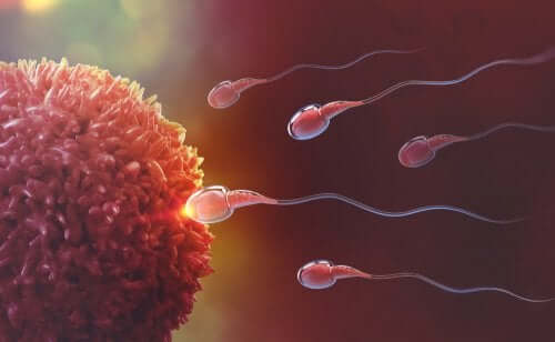 Watch Video: Common Mistakes That Could Be Lowering Your Sperm Count and How to Fix Them