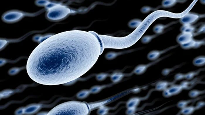 Watch Video: Effective Ways to Increase Sperm Count and Improve Sperm Quality