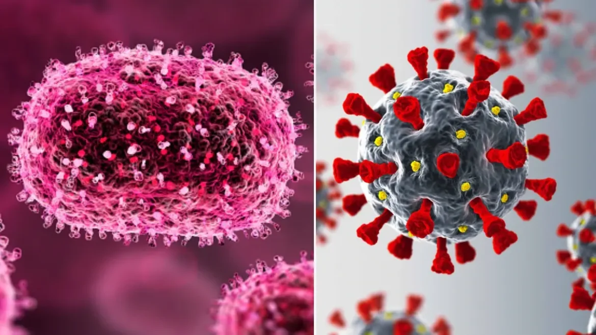 WATCH THE VIDEO: UNDERSTAND THE DIFFERENCE BETWEEN MPOX, SMALL POX AND COVID-19