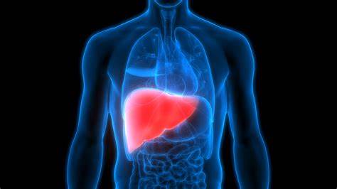 Watch This Transformative Video: 3 Powerful Home Remedies to Eliminate Fatty Liver for Good