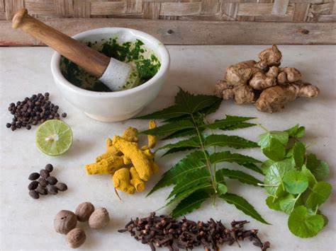 Watch This Video: 5 Fatal Diseases Ayurveda Can Cure Completely