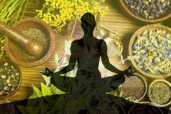 "Ayurveda: The Ancient Science That Heals the Root Cause, Not Just the Symptoms"