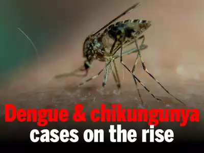 "Battling the Monsoon Surge: Essential Strategies to Prevent Dengue and Chikungunya Infections in Delhi"