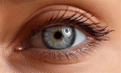 "Unlock Clear Vision: 6 Nutrient-Packed Foods to Prevent Cataracts and Dry Eyes!"