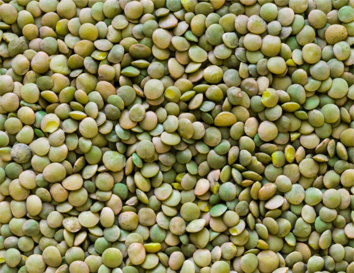 From Anemia to Heart Health: How Green Lentils Transform Your Breakfast