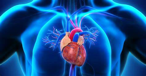 "Discover the Secrets to Heart Health: Must-Watch Video Reveals Two Essential Habits!"