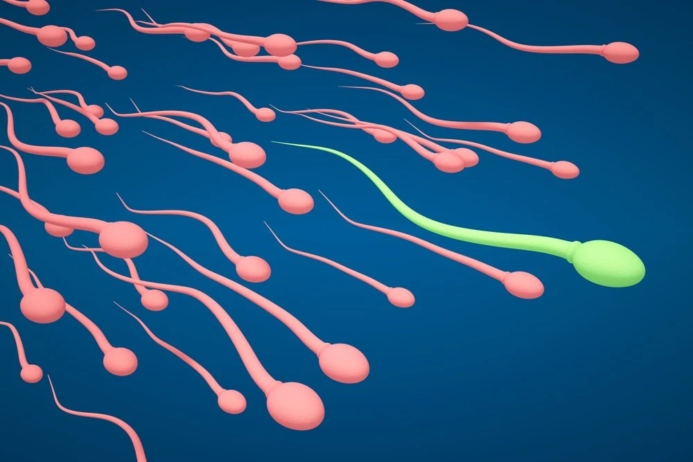 Male Fertility: What Is Driving the Decline in Testosterone Levels Among Men?