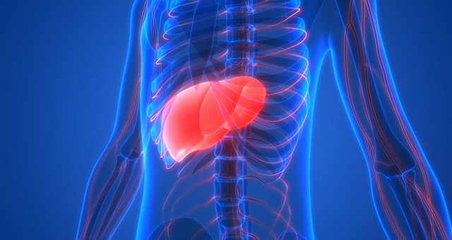 "Watch the Video: Common Liver Health Mistakes You’re Making and How to Protect Your Vital Organ!"