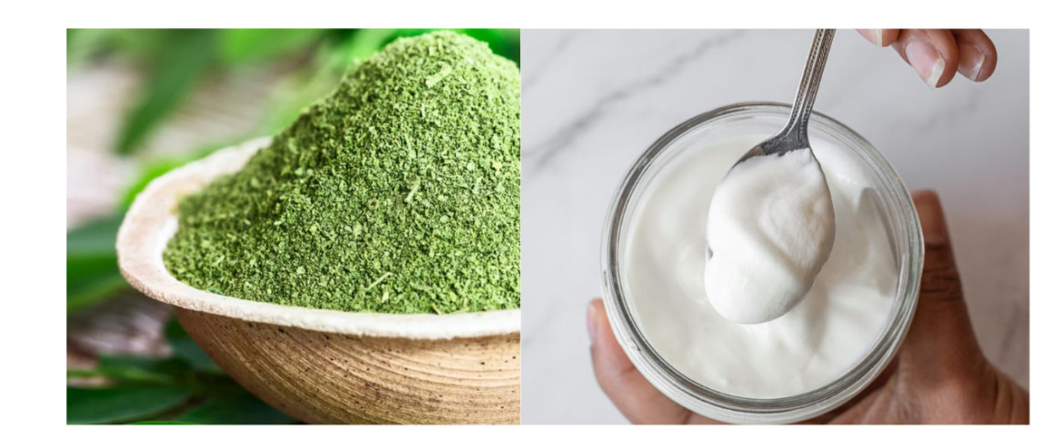 Moringa vs. Yogurt: Which Is the Better Protein Source?