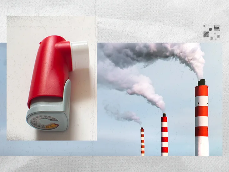 "Video: How Asthma Patients Can Stay Safe During High Pollution – Essential Tips and Precautions"