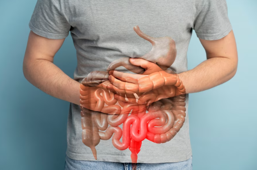 The Gut-Heart Connection: How Constipation Raises Heart Attack and Stroke Risks