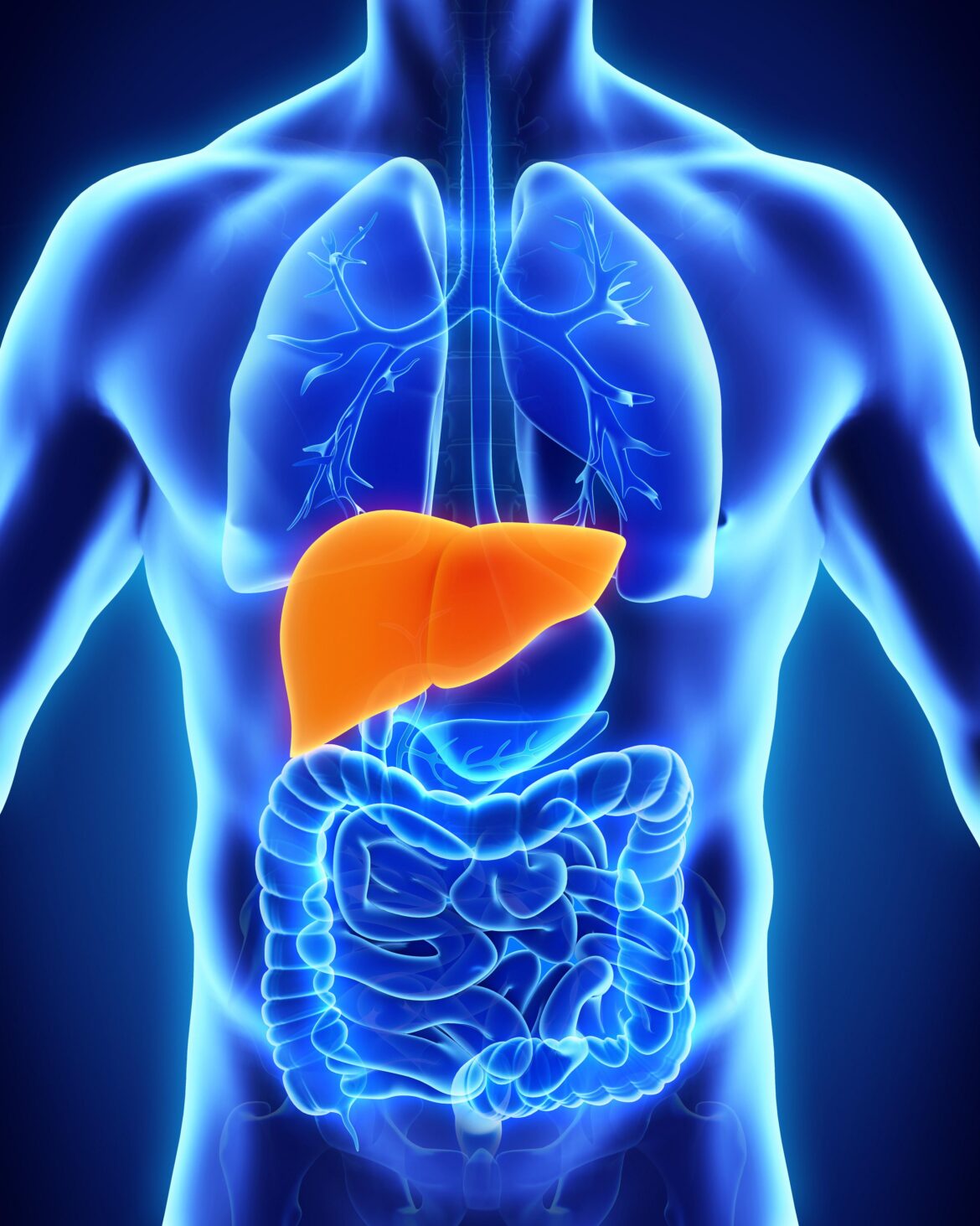 Protect Your Liver: Dietary Do’s and Don’ts for Optimal Health