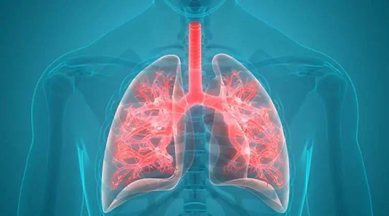 "Easy Lung Detox Tips to Combat Pollution and Boost Health