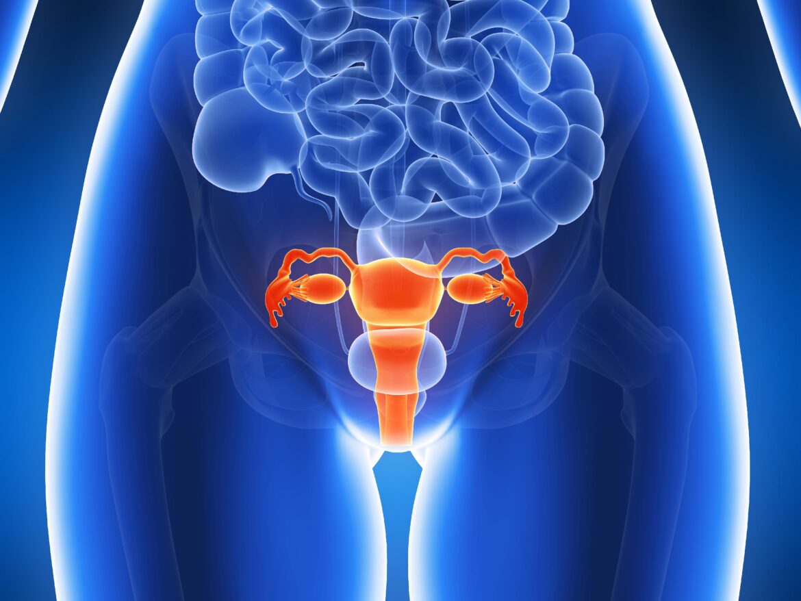 Uterine Health: Why It Matters and Common Challenges Women Face