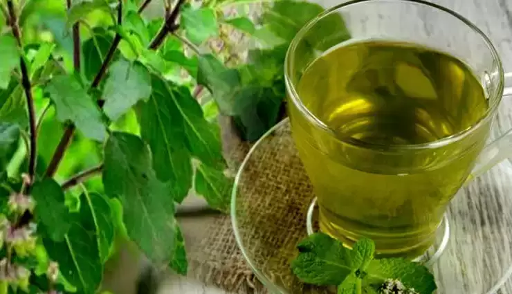 "Watch Video: Incredible Benefits of Tulsi Water for Your Health and Wellness!"