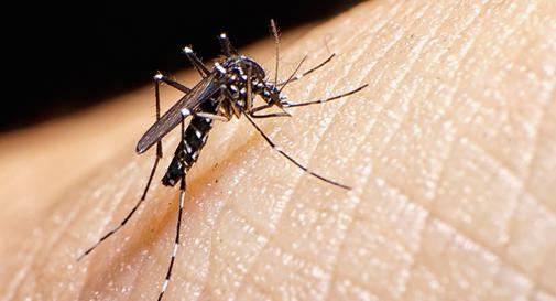 New Zika Virus Case in Gujarat Highlights Growing Concerns and Preventive Measures