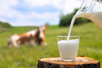 Flu Virus in Raw Milk: A Hidden Health Risk