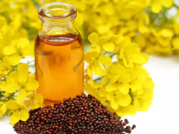 "Mustard Oil Benefits: Your Ultimate Winter Remedy for Health and Skin Care"