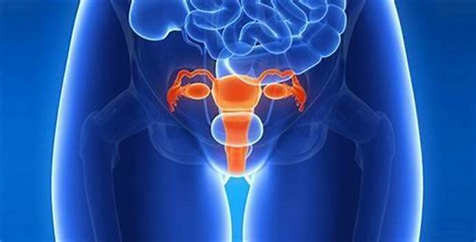 "Uterus Infections: Common Mistakes Women Make and How to Prevent Them"