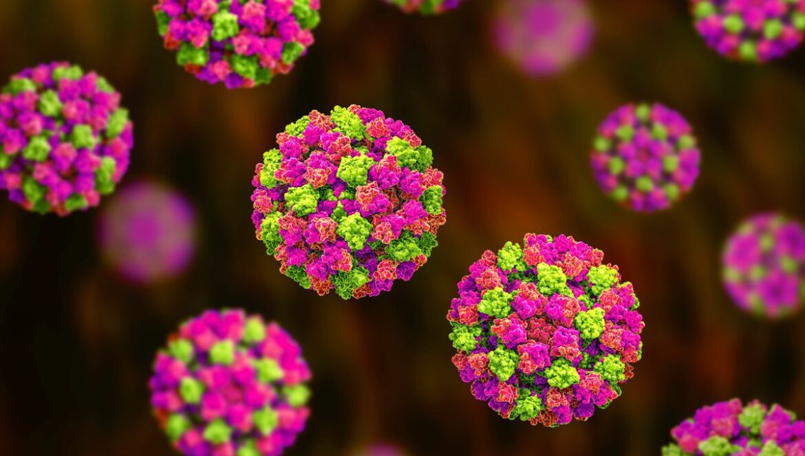 Norovirus: Causes, Symptoms, and Prevention Tips